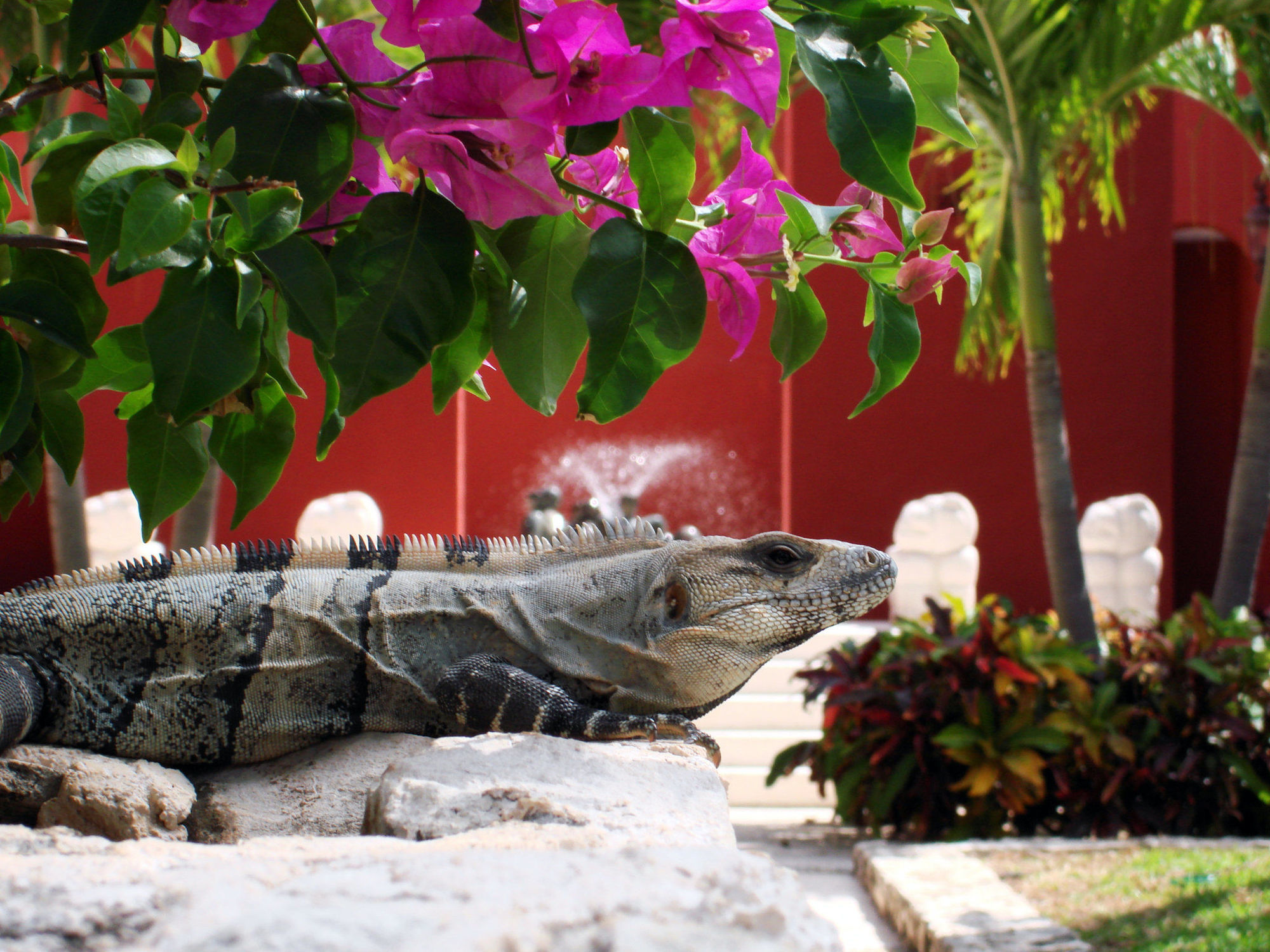 Paraiso De La Bonita Adult All-Inclusive, A Luxury Collection Resort Puerto Morelos Wyposażenia zdjęcie